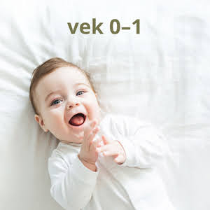 Vek sk 1